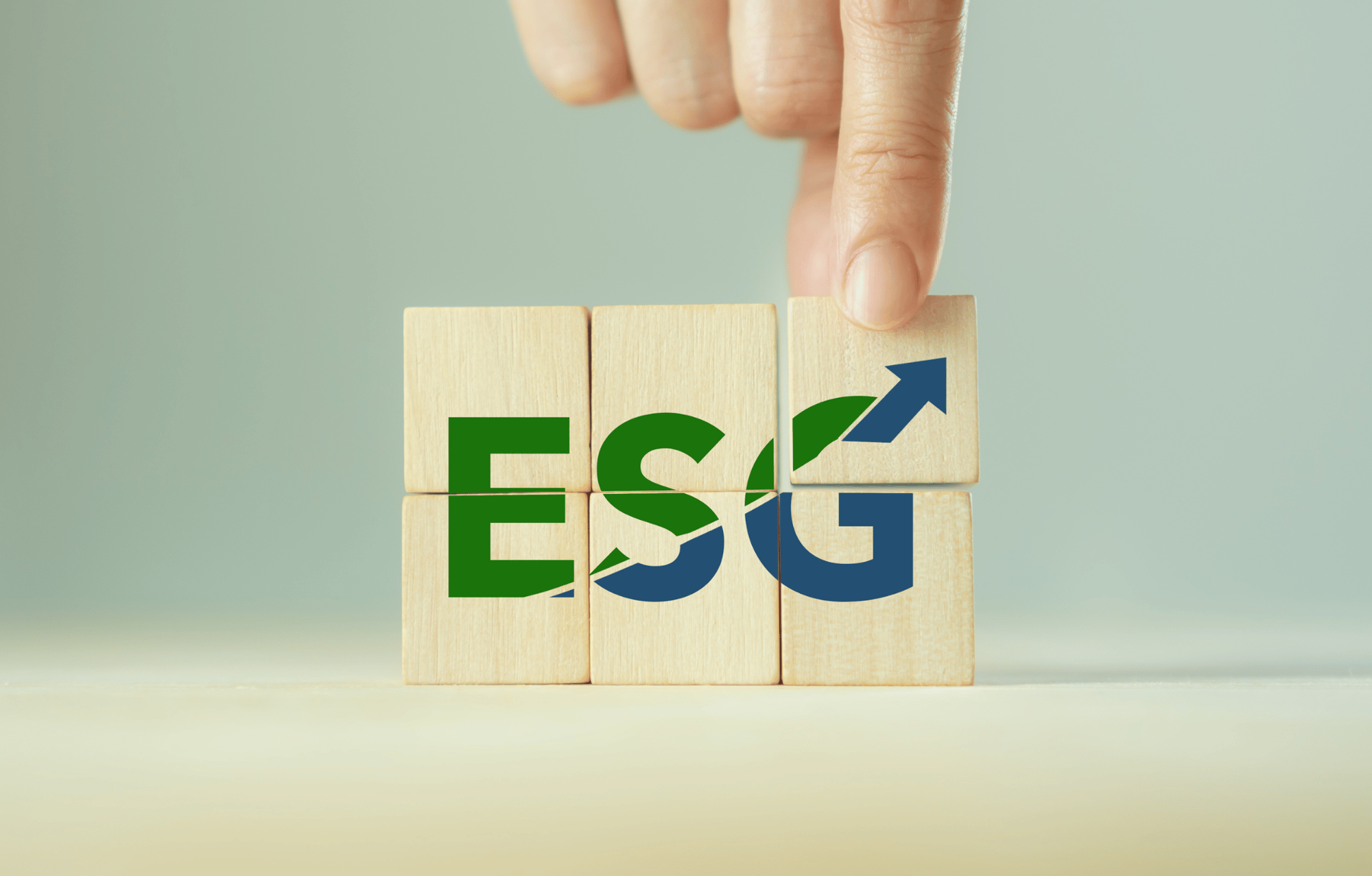 ESG picture