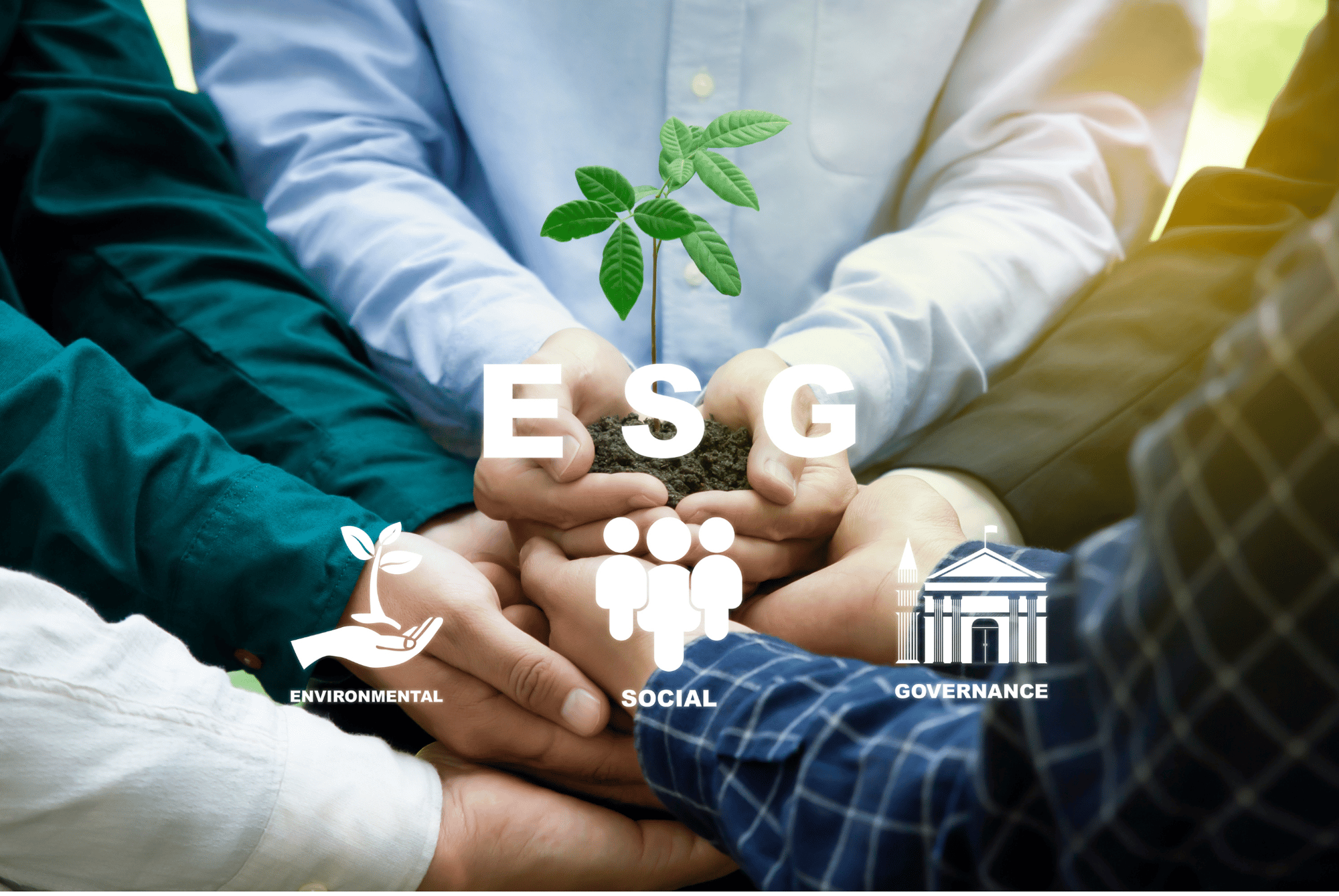 esg auditor
